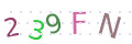CAPTCHA 2