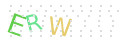 CAPTCHA 2